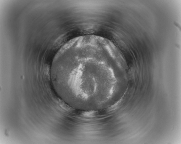 X0000096220178200802011351