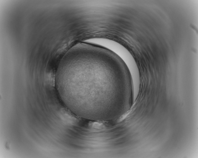 X0000096220180200802011351