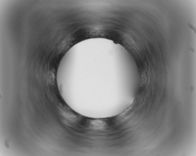 X0000096220183200802011351