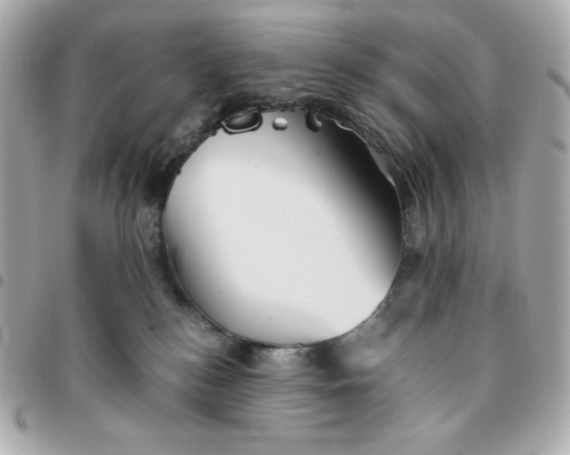 X0000096220184200802011351