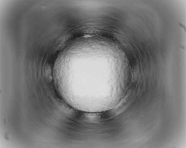 X0000096220187200802011351