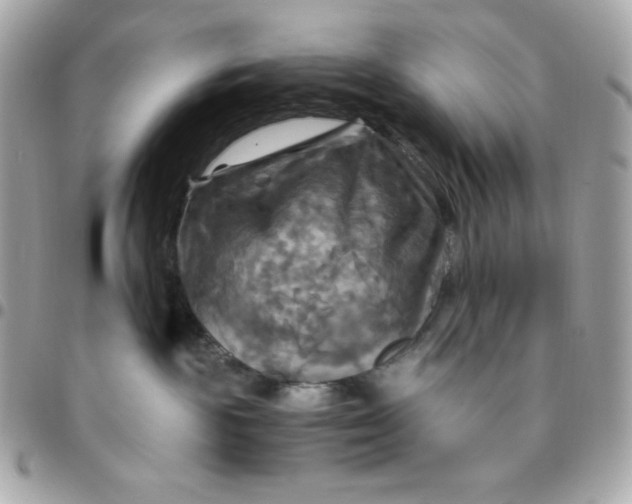 X0000096220189200802011351