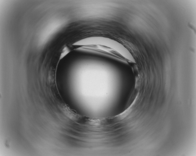 X0000096220190200802011351