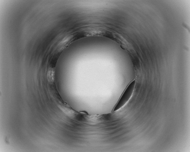 X0000096220191200802011351