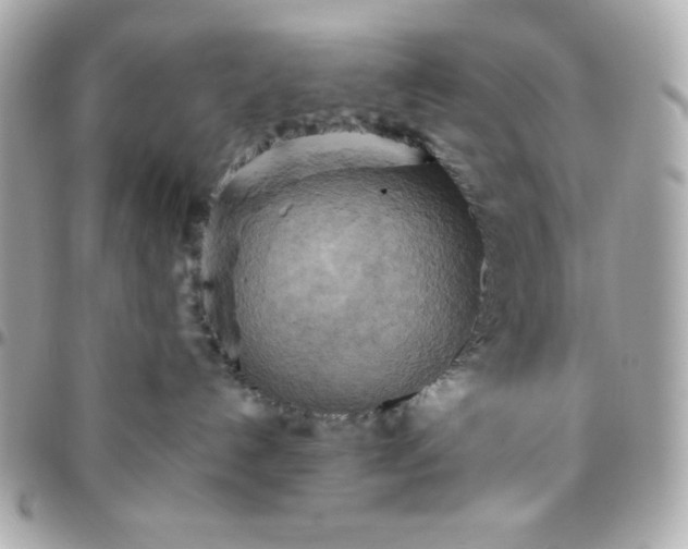 X0000096220192200802011351