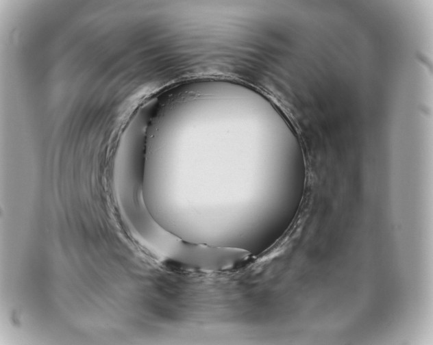 X0000096220193200802011350