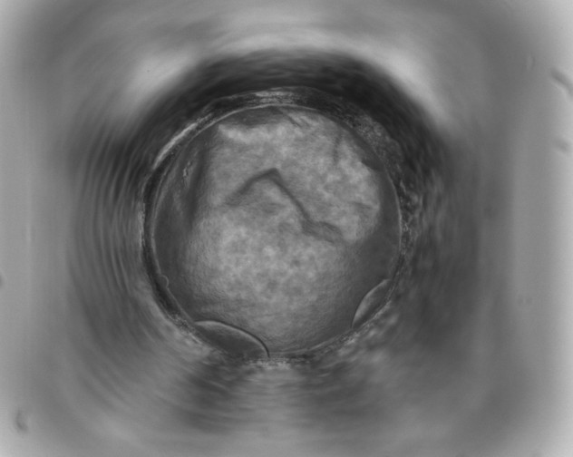 X0000096220194200802011350