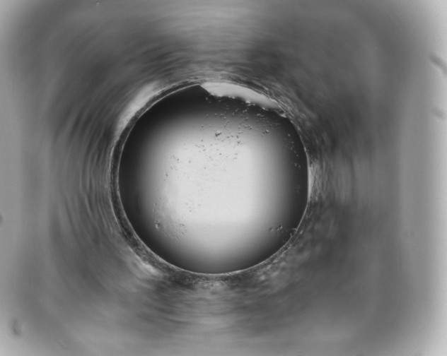 X0000096220195200802011350