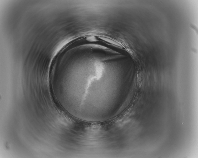 X0000096220196200802011350