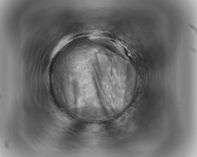 X0000096220198200802011350