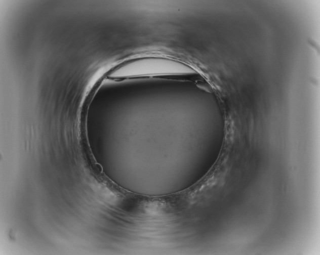 X0000096220200200802011350