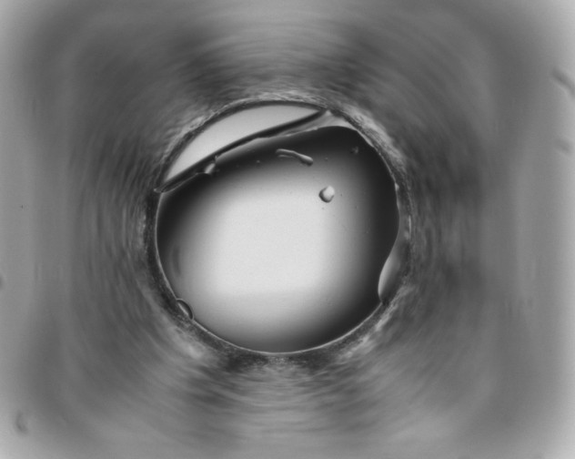 X0000096220201200802011350