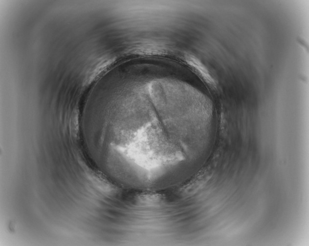 X0000096220202200802011350