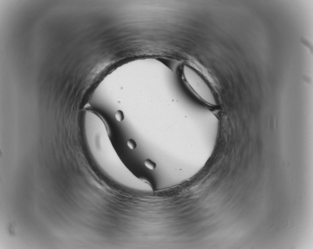 X0000096220203200802011350