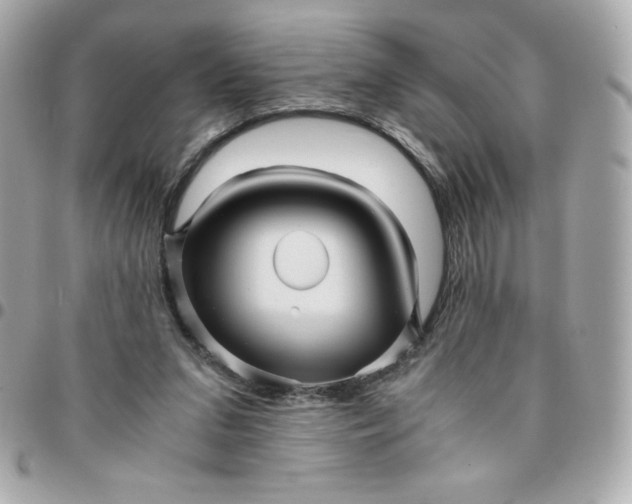 X0000096220207200802011350