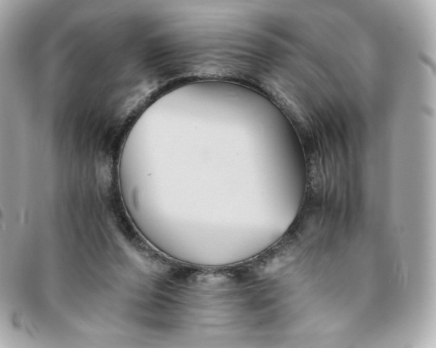 X0000096220208200802011350