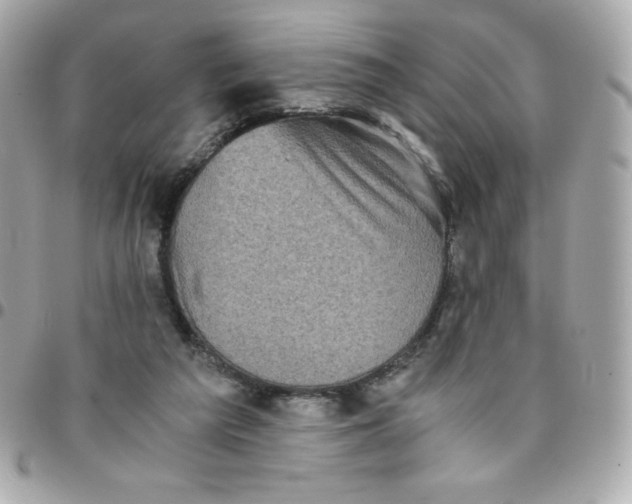 X0000096220209200802011350