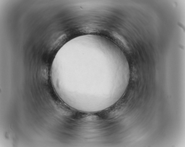 X0000096220210200802011350