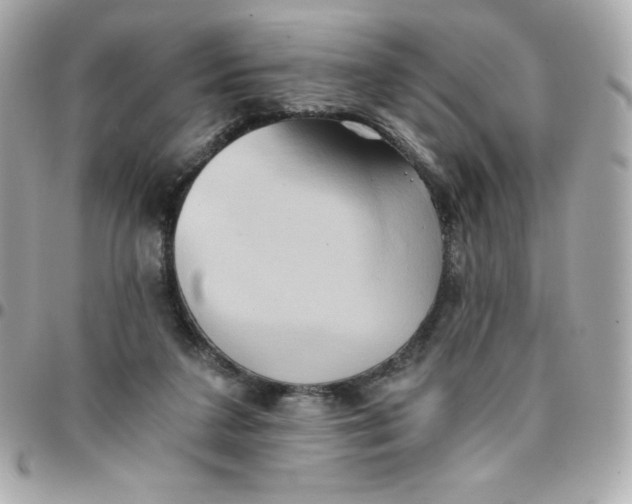 X0000096220211200802011350