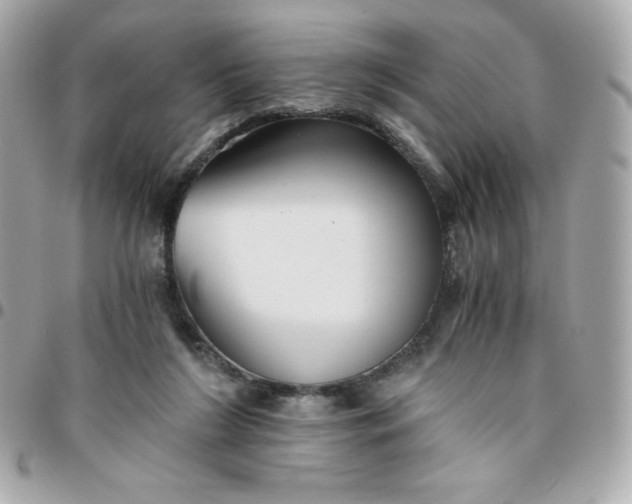 X0000096220212200802011350