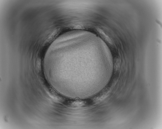 X0000096220213200802011350