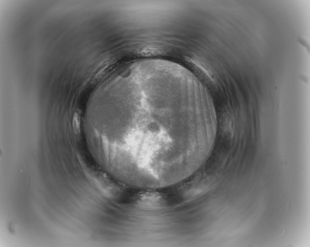 X0000096220214200802011350