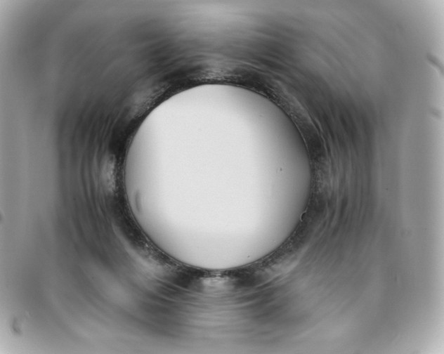 X0000096220216200802011350