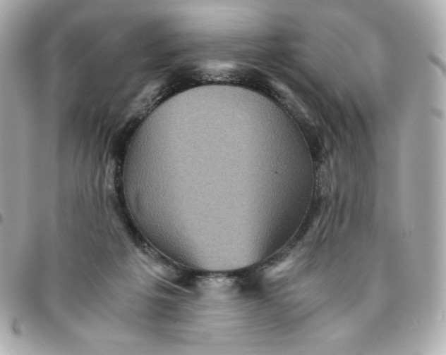 X0000096220217200802011350