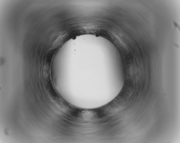 X0000096220218200802011350