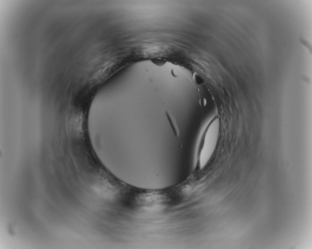 X0000096220219200802011350