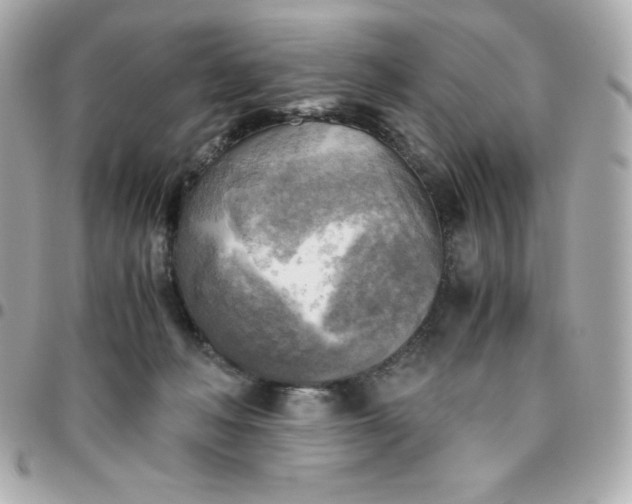 X0000096220222200802011350