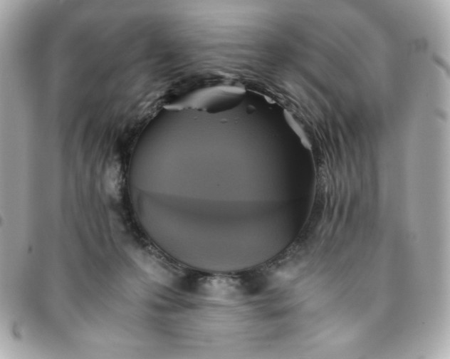 X0000096220223200802011350