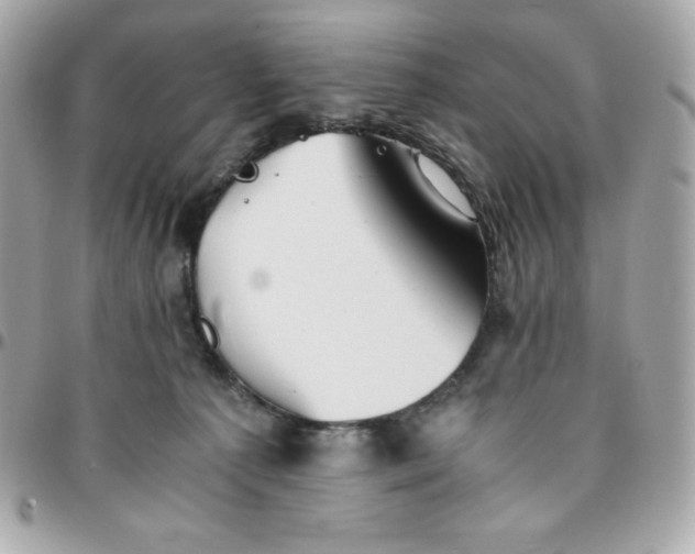 X0000096220225200802011350