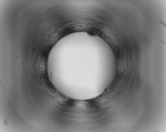 X0000096220226200802011350