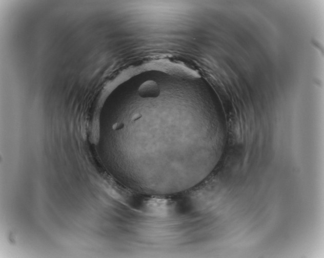 X0000096220227200802011350