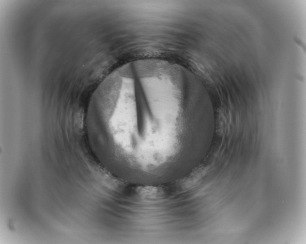 X0000096220230200802011350