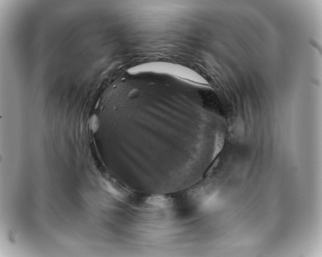 X0000096220231200802011350