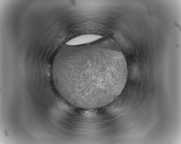 X0000096220232200802011350