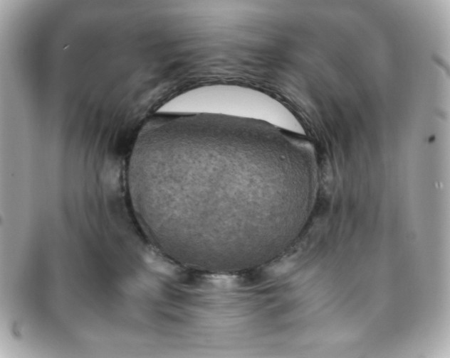 X0000096220233200802011350