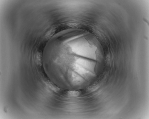 X0000096220234200802011350