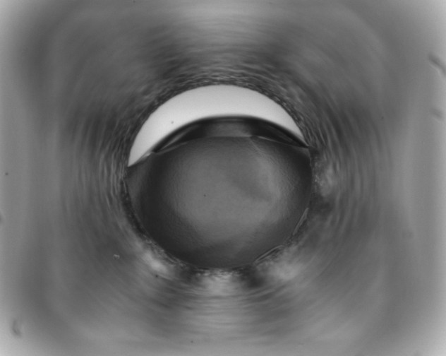 X0000096220235200802011350