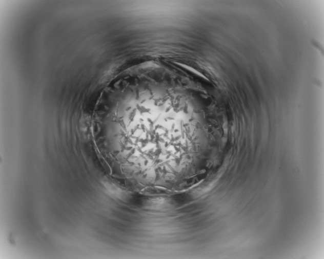 X0000096220237200802011350