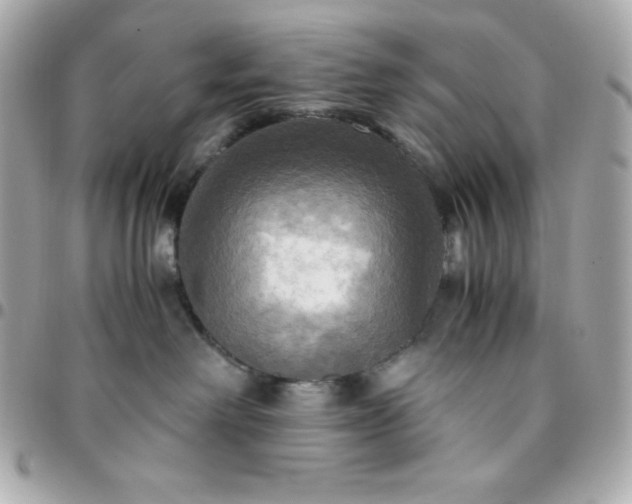 X0000096220238200802011350