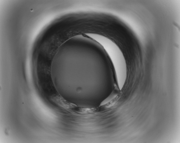 X0000096220239200802011350