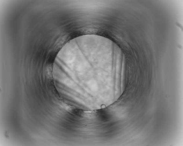 X0000096220240200802011350