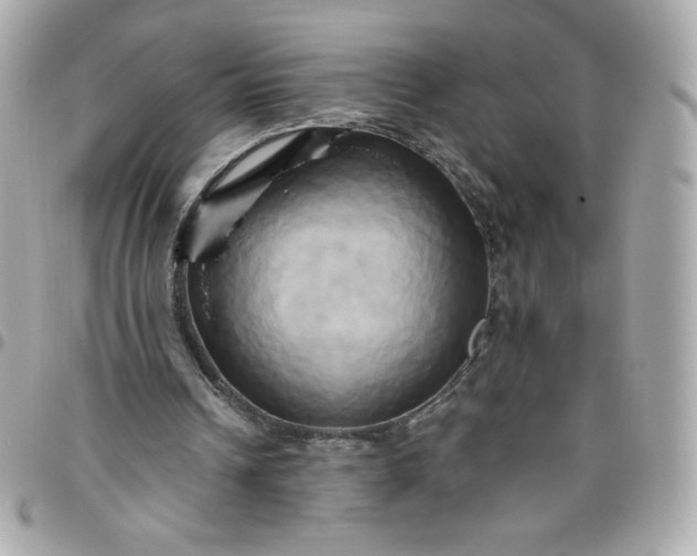 X0000096220242200802011349