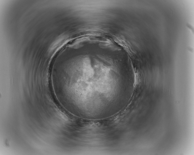 X0000096220243200802011349