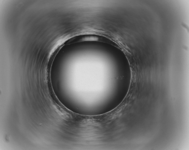 X0000096220244200802011349