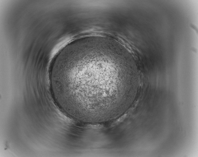 X0000096220245200802011349