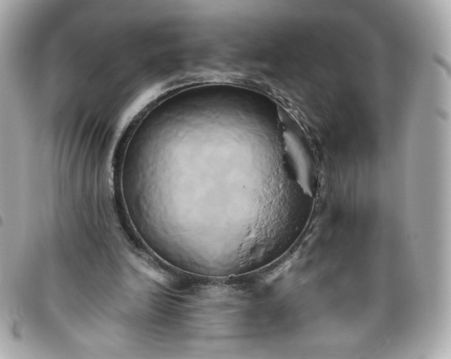 X0000096220246200802011349